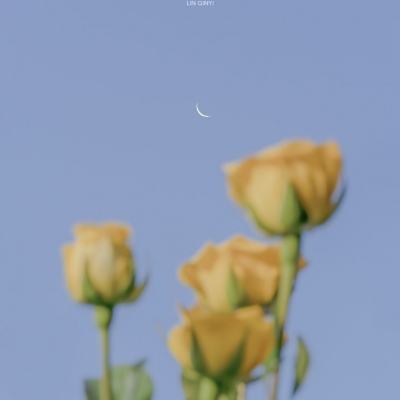 数码大冒险满v版下载